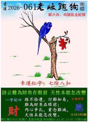 p8.jpg