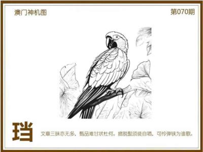 xi1.jpg